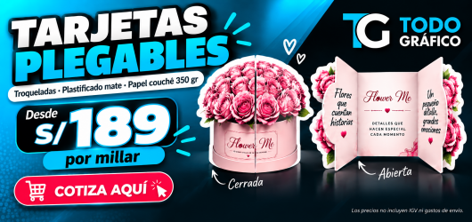 TARJETAS PLEGABLES